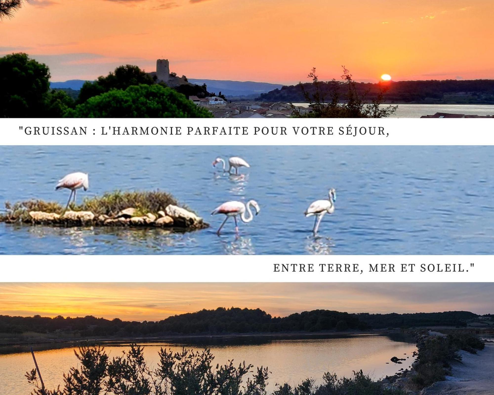 L'Eden - Vue Magnifique Sur Le Port, Les Chalets & La Mer - 格吕桑 外观 照片